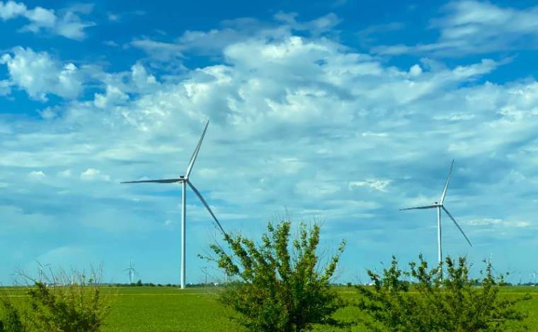 Image of windmills out in a field