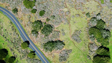 Drone view of a road