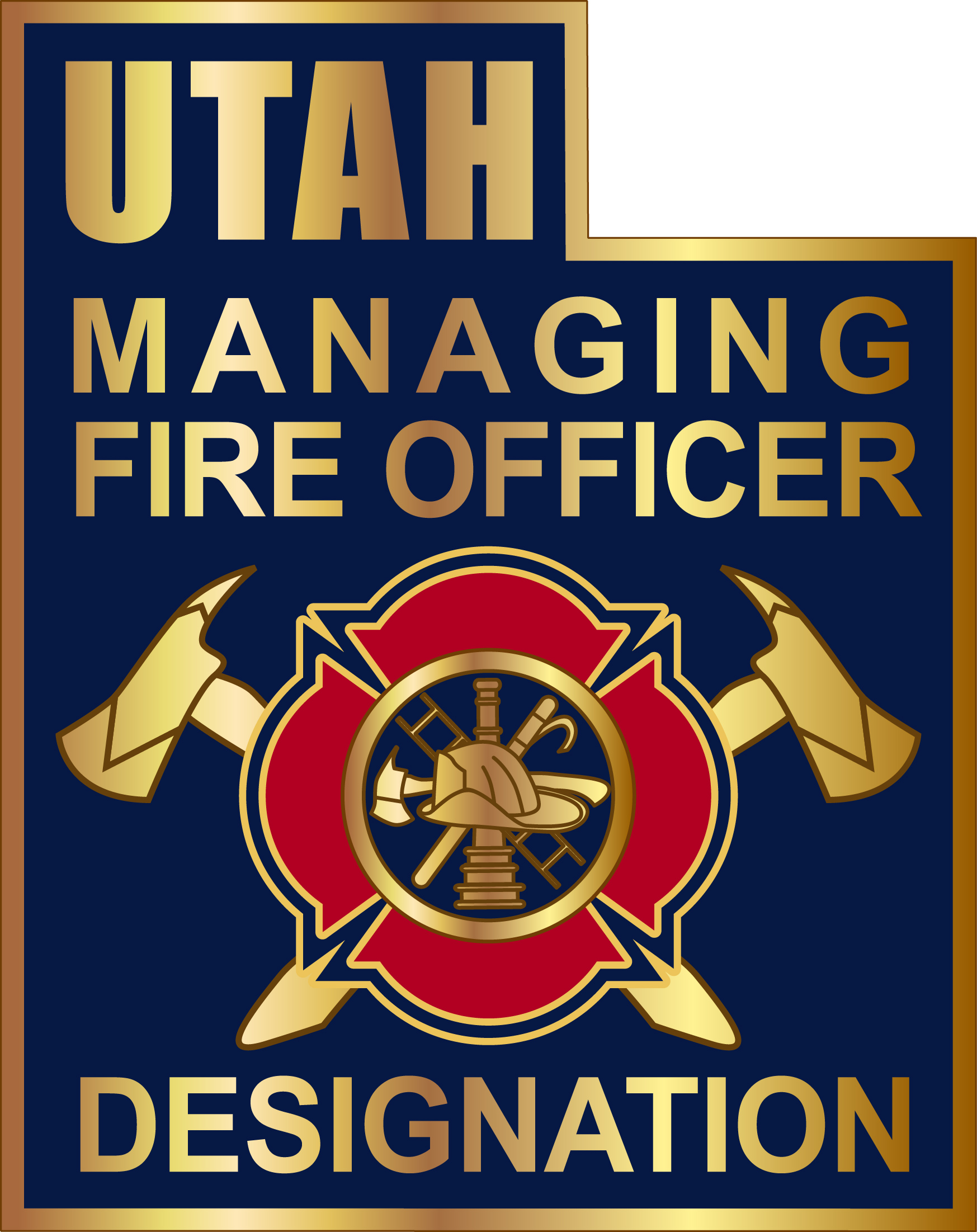 Managing Fire Officer lapel pin