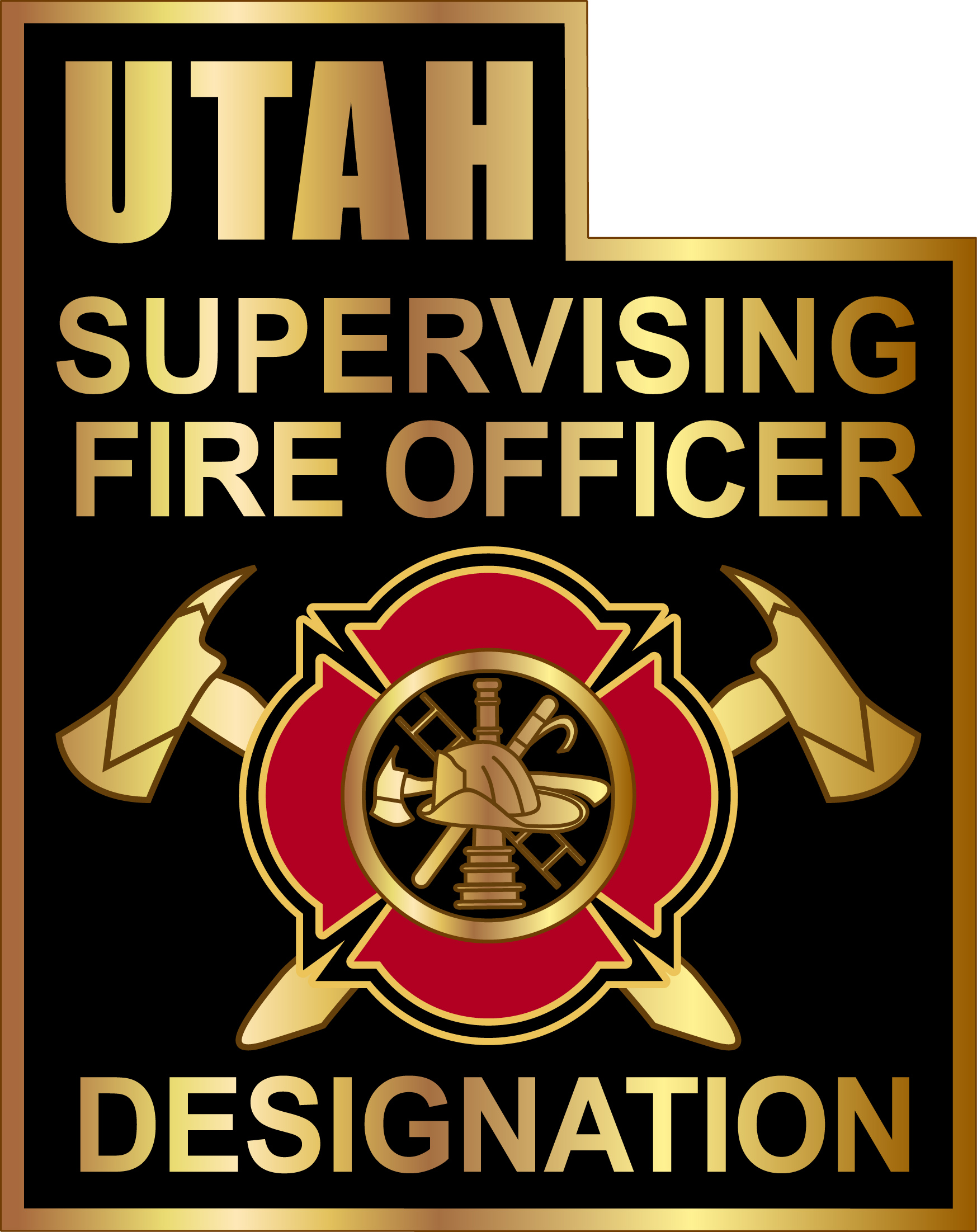 Supervising Fire Officer lapel pin