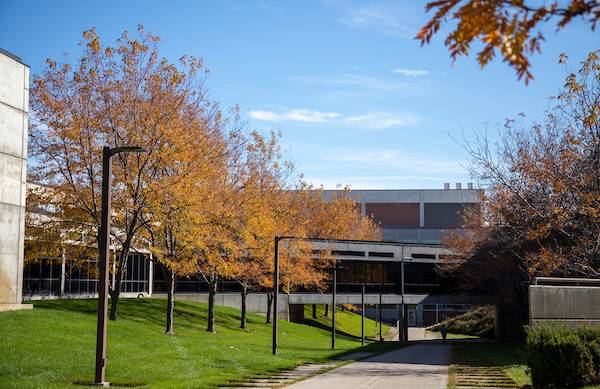 fall on campus