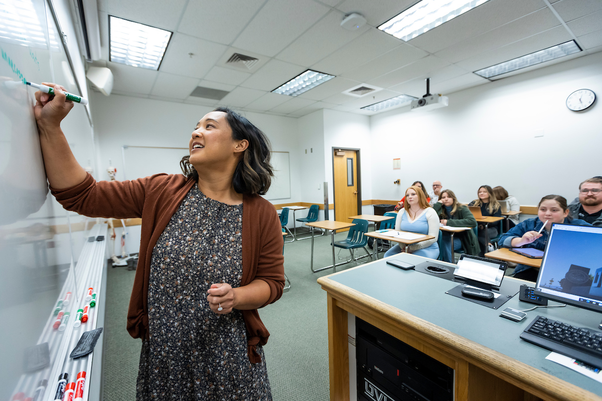 Image of a professor writing on a board