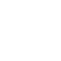 coins-icon