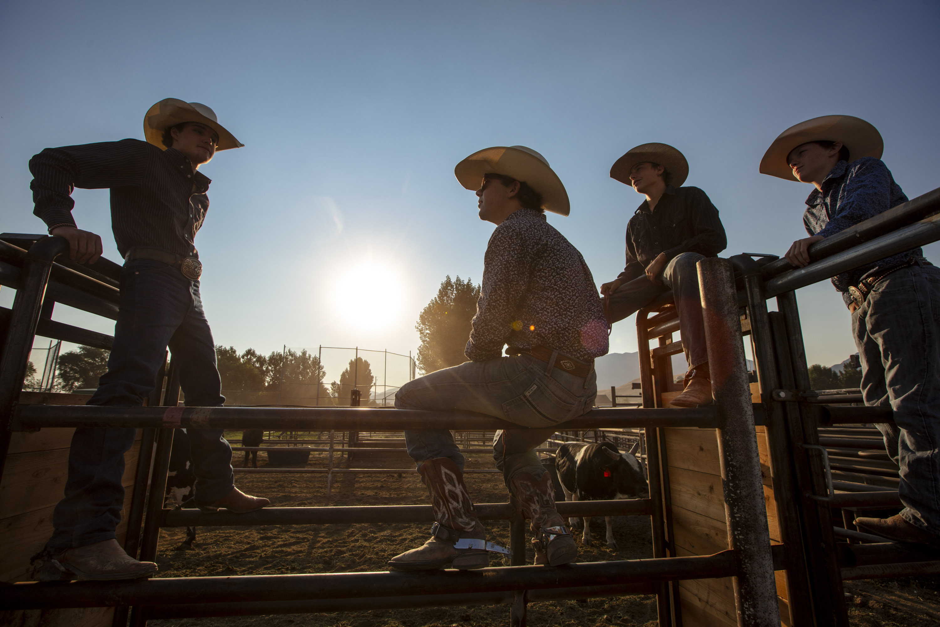rodeo riders sitting on fence