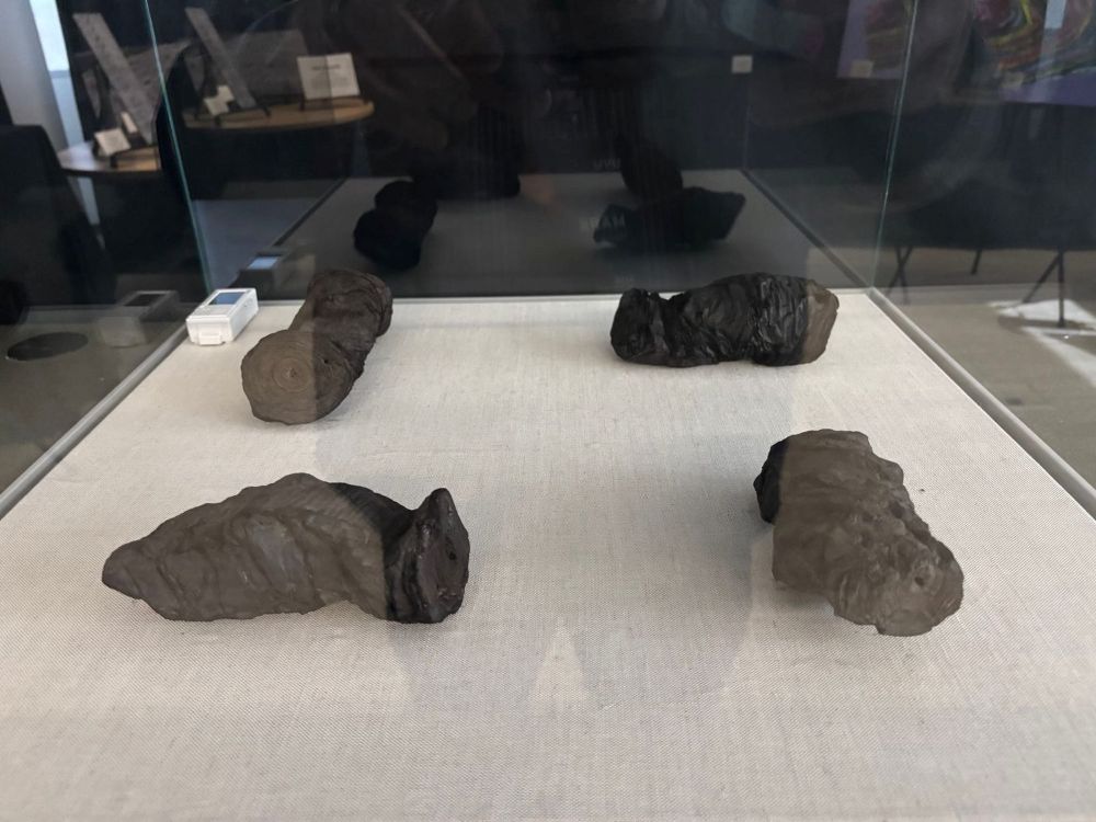 Papyri enclosed behind glass