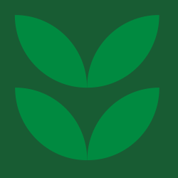Simple plant icon.