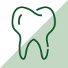 Icon of a molar.
