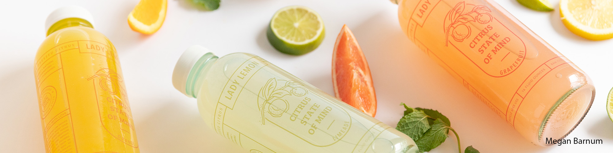 Graphic design branding of Lady Lemon done by Megan Barnum