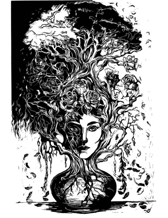 By Jennifer Farley