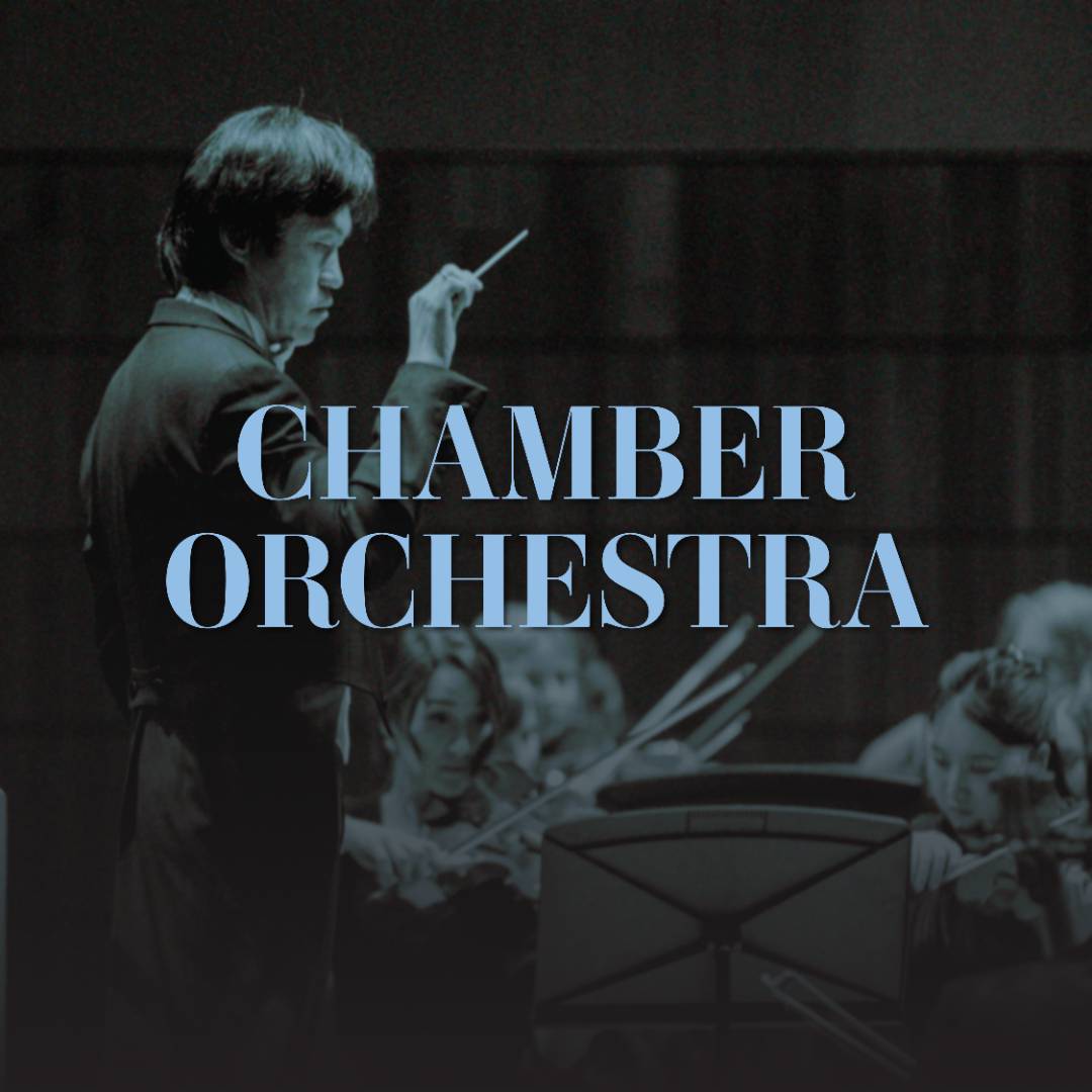 Chamber Orchestra