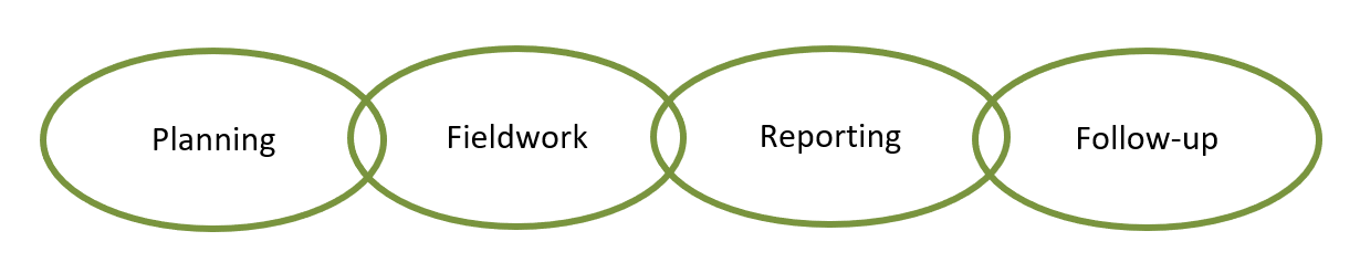 Audit Process Flowchart