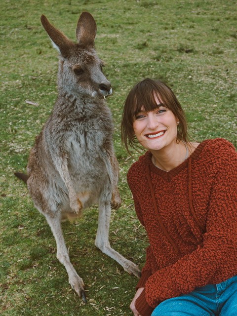 kangaroo