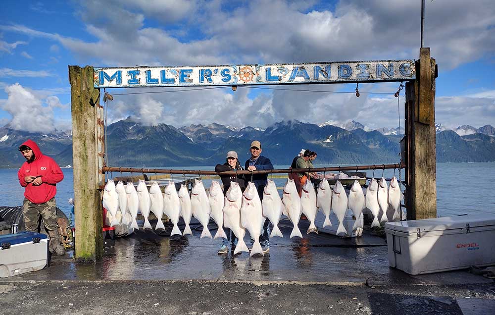 line of fish in Alaska