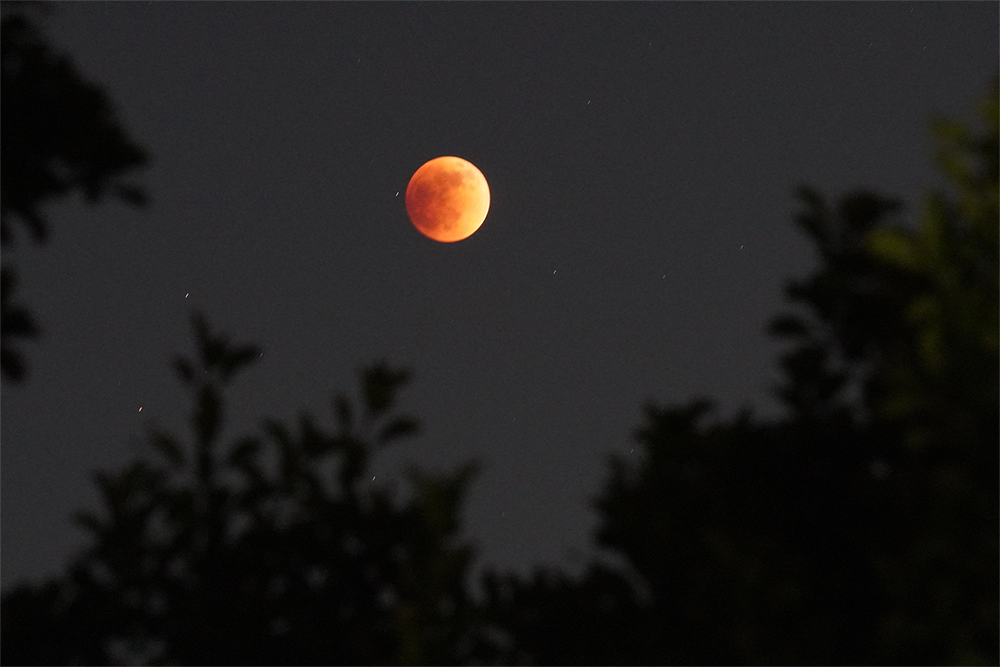 blood moon 3