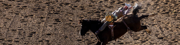 UVU rodeo bronco rider