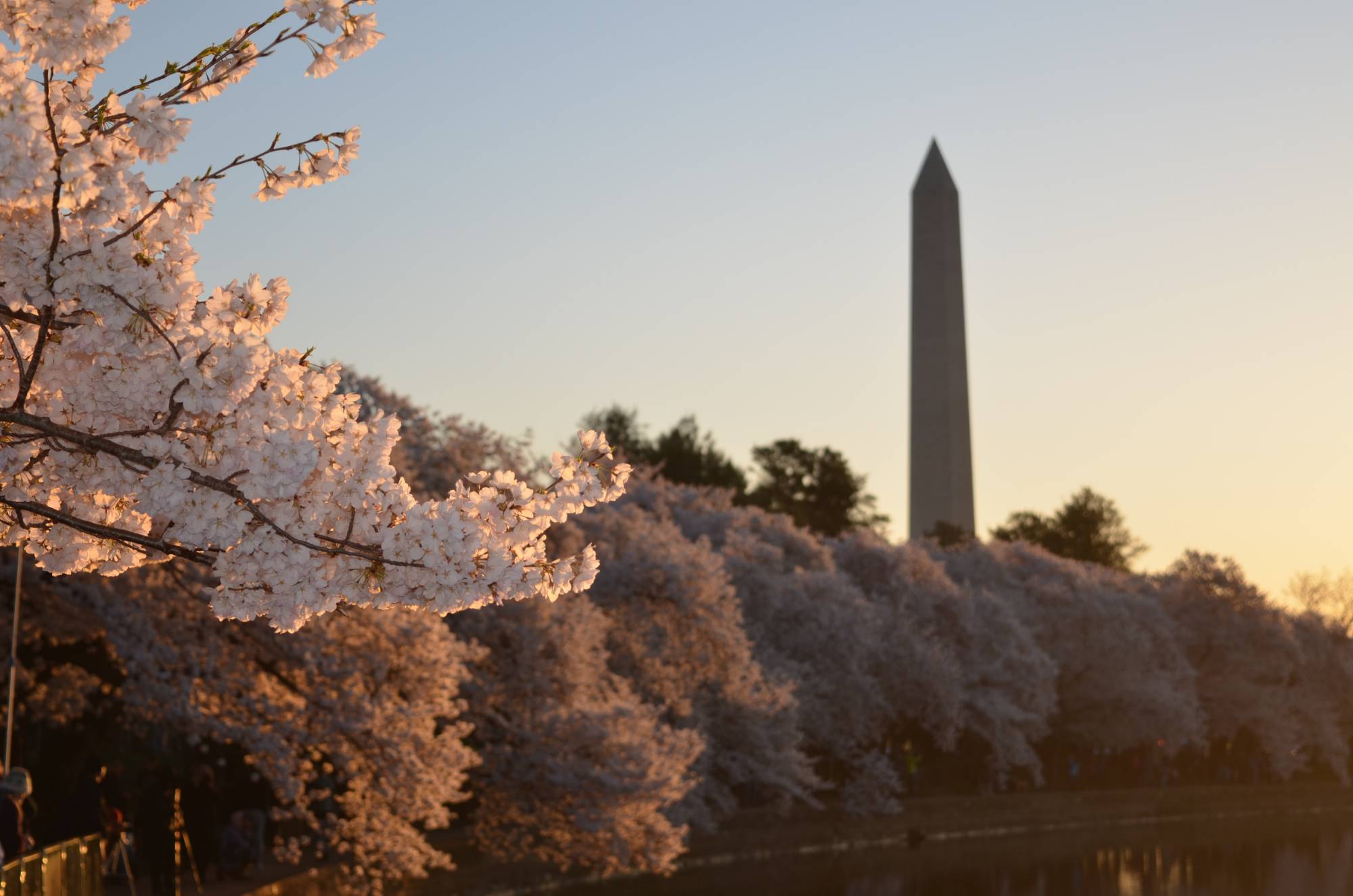 Washington Monument