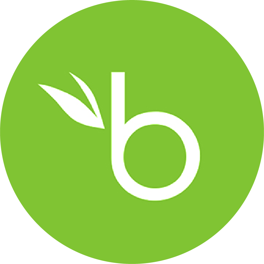 bamboo hr icon