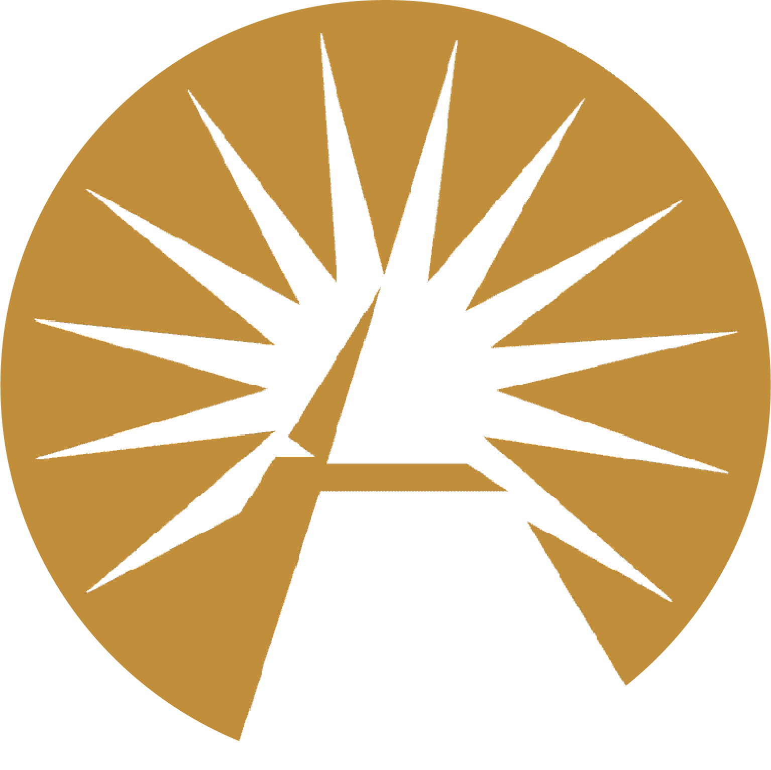 fidelity icon