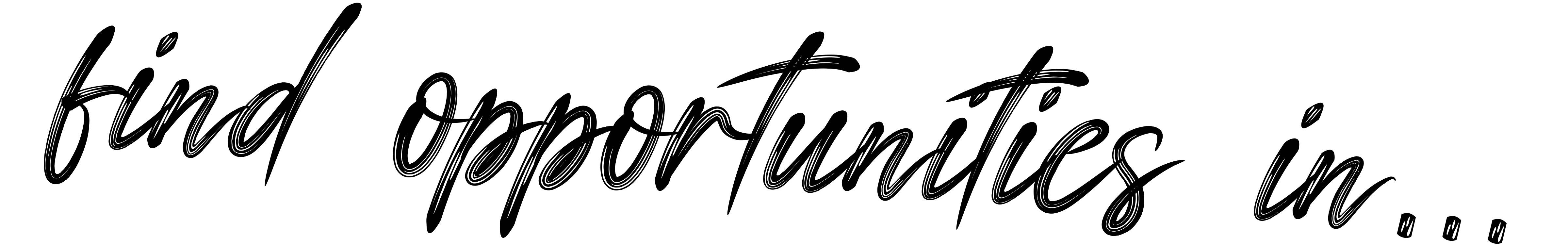 "Find Opportunities" heading in a swooshy font type