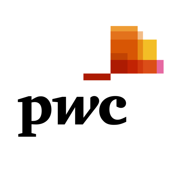 pwc icon