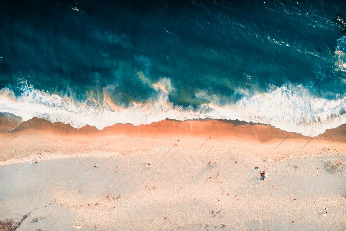 Beach landscape