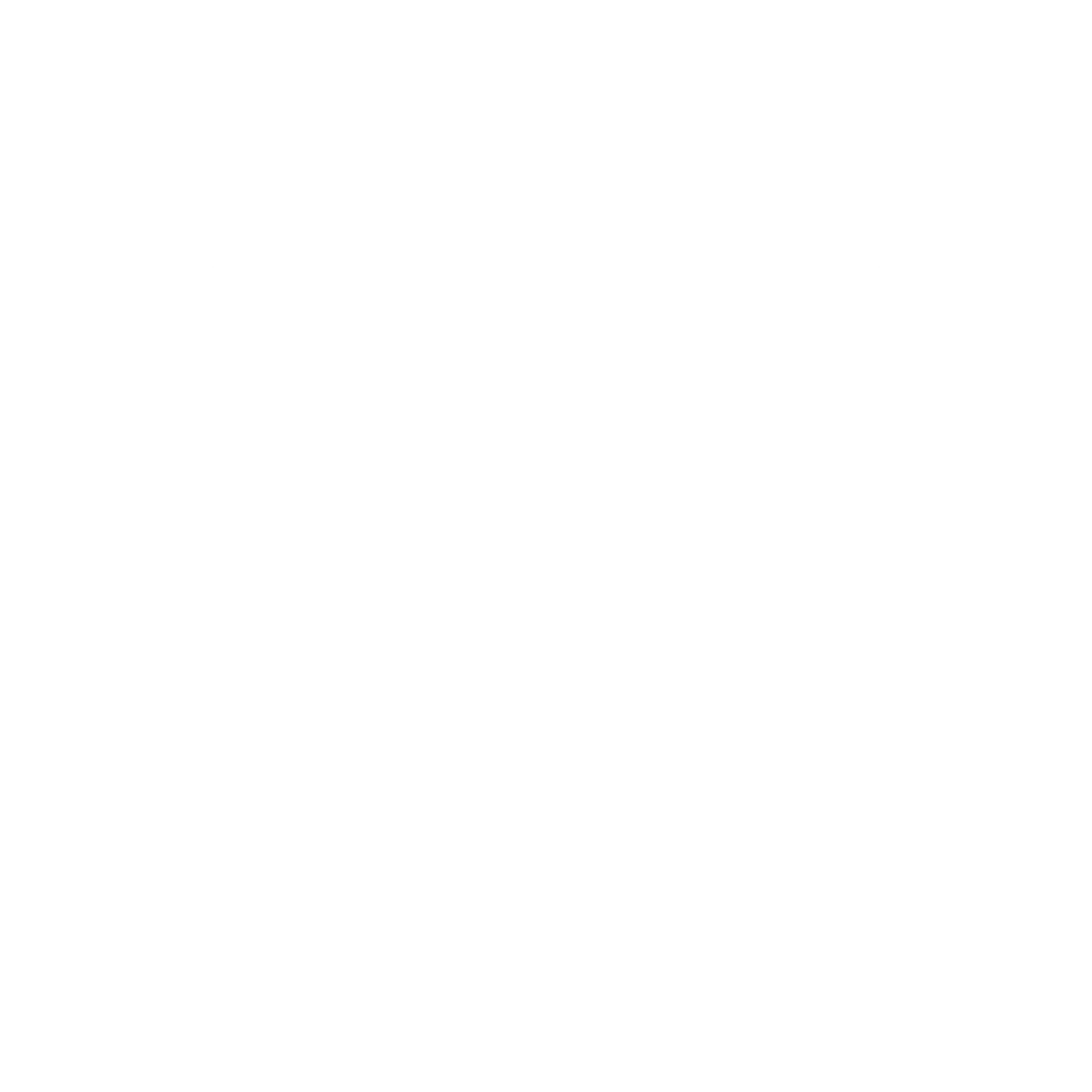 equal liberty icon