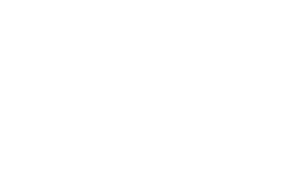 Icon of the US map