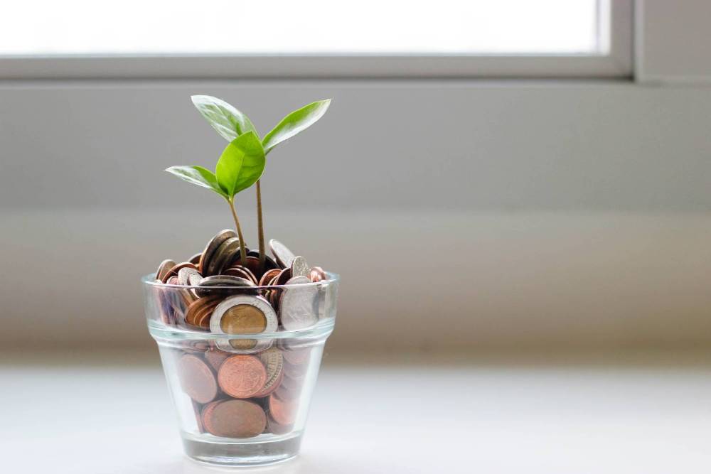 Photo of a plant sprouting out of a planter filled with coins