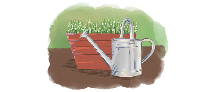 gardening illustration