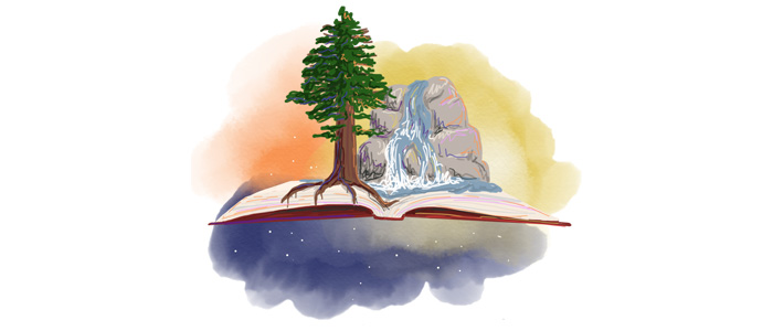 young authors illustration