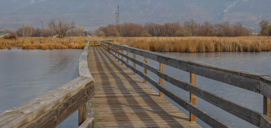 Provo River & Lake Shoreline