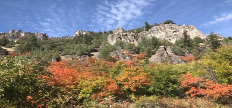 Logan Canyon Scenic Drive