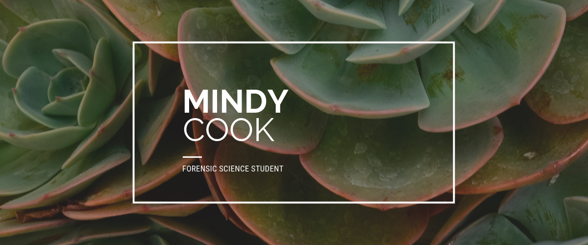 UVU Student Spotlight: Mindy Cook