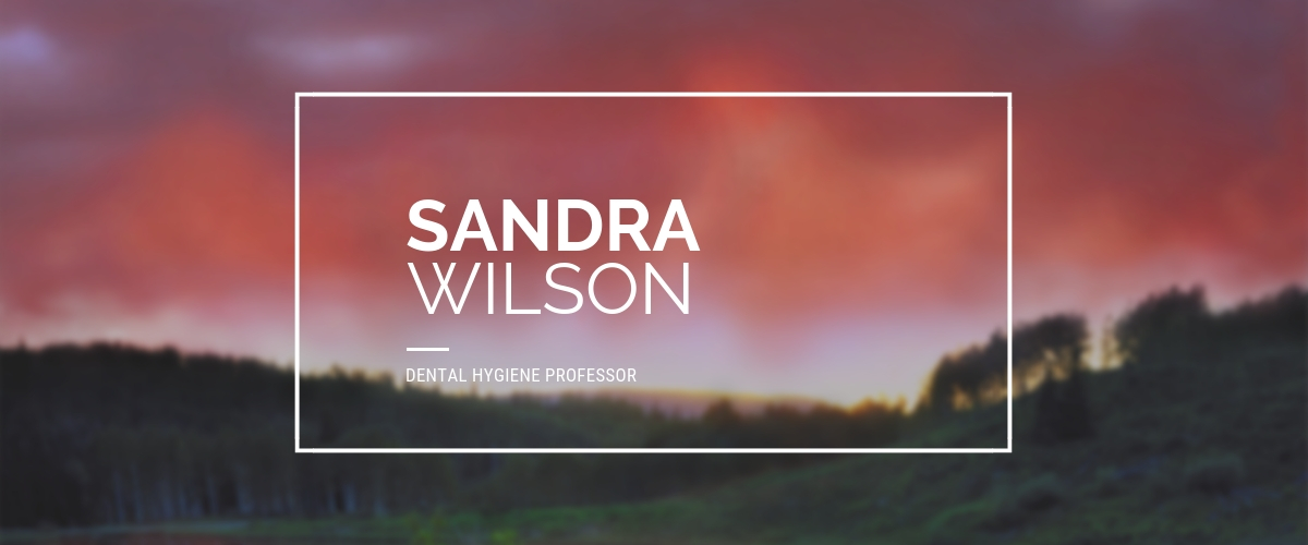 Faculty Spotlight: Sandra Wilson