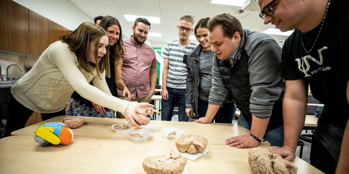 Psychology Students Get Hands On Experience with the Brain