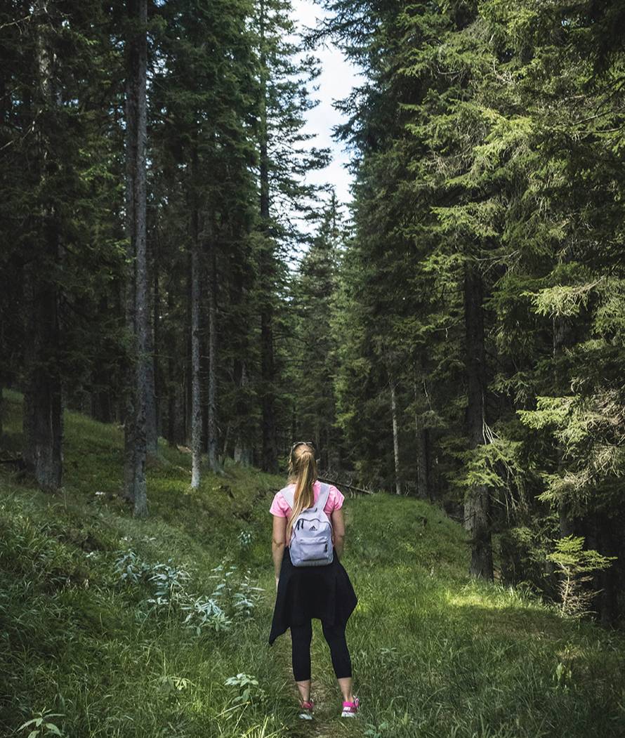 Young explorer hiking through forest