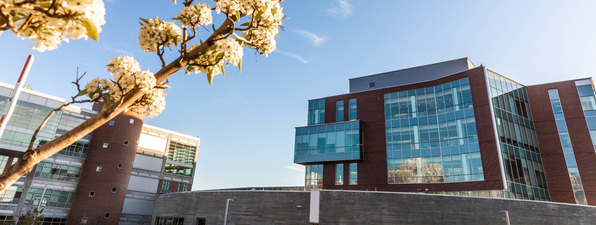 image of uvu campus during spring