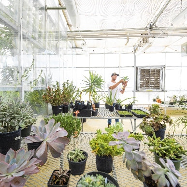 Botany Experimental Greenhouse – Exploratorium