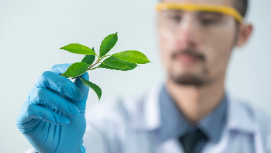 Person holding leaf