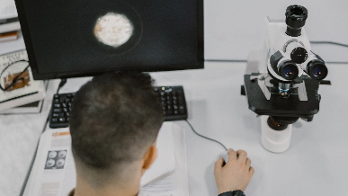 Person looking at a cell on a computer