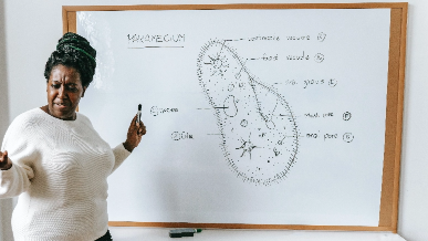 Instructor drawing a diagram of a cell