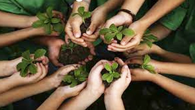 hands holding plants