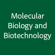 molecular biology and biotechnology image