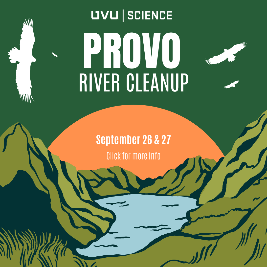Provo River Cleanup image