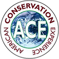 American Conservation Experience Logo