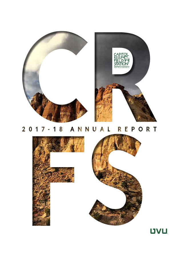 2017-2019 Annual Report cover