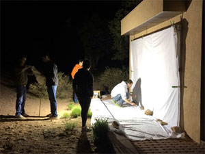 Entomology class researching insects at night