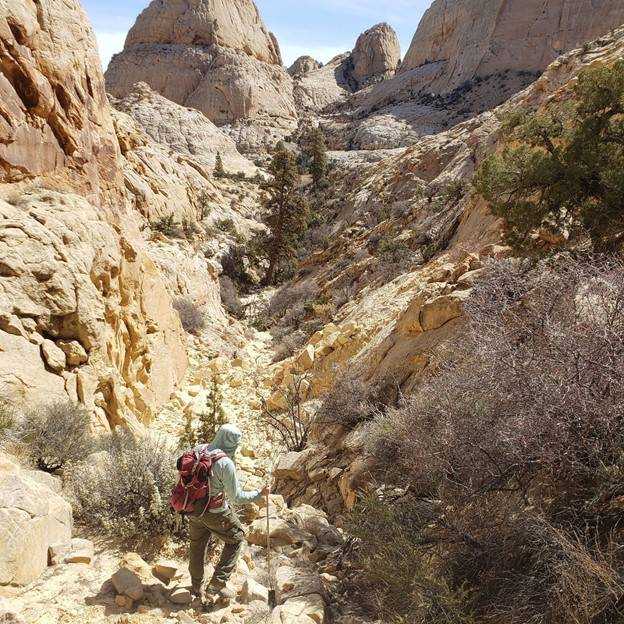 Hiking in a rocky gorge