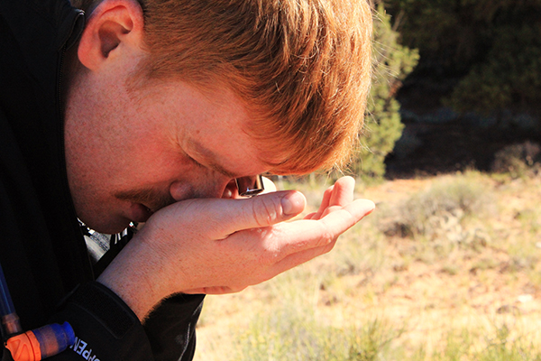 Student looking through eyeglass at lichens