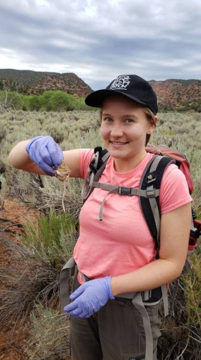 Student Collecting data